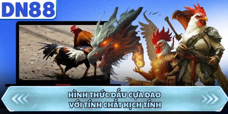 Hình thức đấu cựa dao với tính chất kịch tính