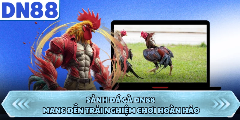 Sảnh đá gà DN88 mang đến trải nghiệm chơi hoàn hảo